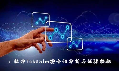 : 软件Tokenim安全性分析与保障措施
