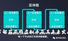 深入了解菲亚特虚拟币及其未来发展趋势