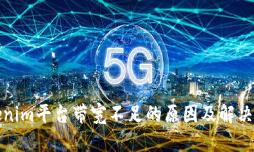 Tokenim平台带宽不足的原因及解决方案
