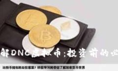 深入了解DNC虚拟币：投资前的必读指南