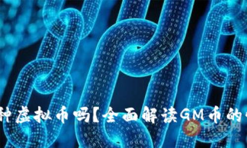 GM币是一种虚拟币吗?全面解读GM币的性质与应用