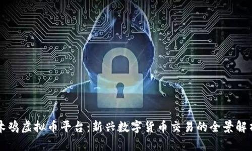 木鸡虚拟币平台:新兴数字货币交易的全景解析