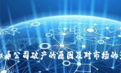 虚拟币公司破产的原因及对市场的影响
