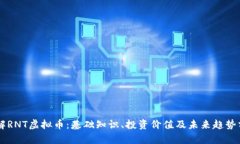了解RNT虚拟币：基础知识、投资价值及未来趋势