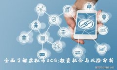 全面了解虚拟币BCG：投资机会与风险分析