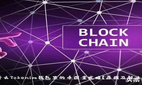 为什么Tokenim钱包里的币图案发暗?原因及解决方案