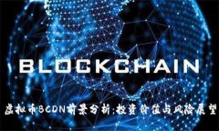 虚拟币BCDN前景分析：投资价值与风险展望