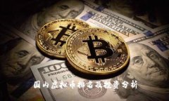 国内虚拟币排名及投资分析
