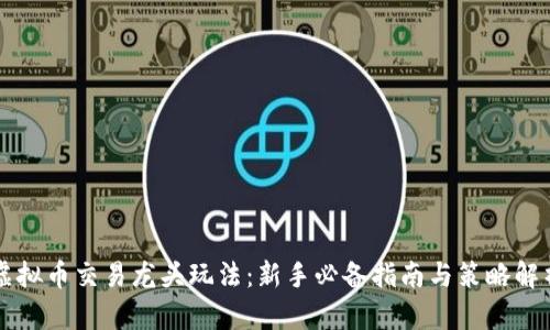 虚拟币交易龙头玩法:新手必备指南与策略解析