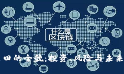虚拟币麦田的全貌:投资、风险与未来趋势分析