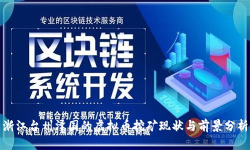 浙江台州泽国的虚拟币挖矿现状与前景分析