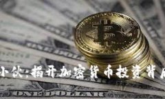 虚拟币小伙：揭开加密货币投资背后的故事