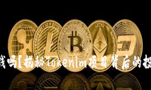 Tokenim能挣钱吗?揭秘Tokenim项目背后的投资机会与风险