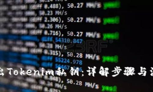 如何导出Tokenim私钥:详解步骤与注意事项