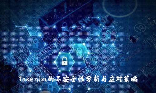 Tokenim的不安全性分析与应对策略