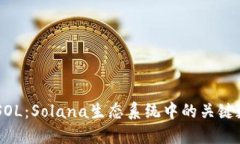 虚拟币SOL：Solana生态系统中的关键数字货币