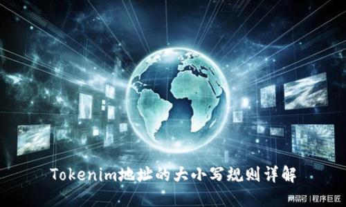 Tokenim地址的大小写规则详解
