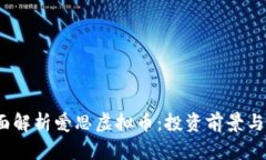  全面解析爱思虚拟币：投资前景与风险
