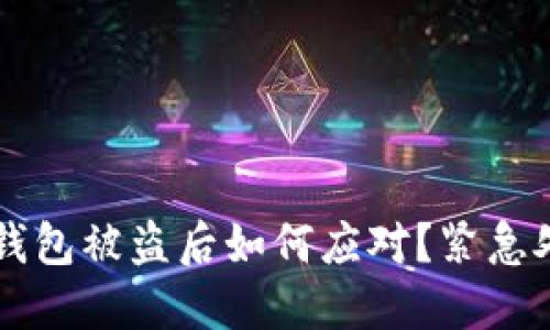 虚拟币钱包被盗后如何应对?紧急处理指南
