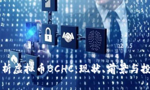 深入解析虚拟币BCHC:现状、前景与投资指南