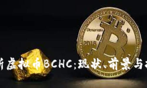 深入解析虚拟币BCHC:现状、前景与投资指南