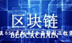 什么是BSE虚拟币？全面解析及投资前景