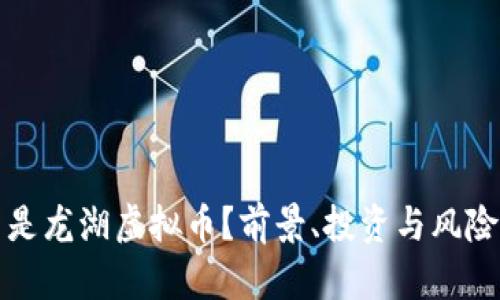 什么是龙湖虚拟币?前景、投资与风险分析
