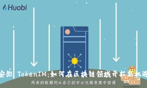 安徽 TokenIM:如何在区块链领域开拓新机遇