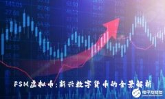 FSM虚拟币：新兴数字货币的全景解析