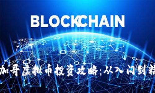 芝加哥虚拟币投资攻略:从入门到精通