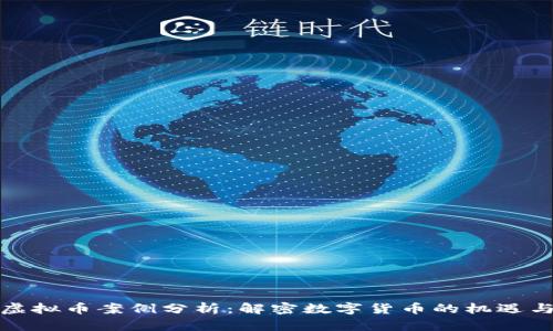 鹤岗虚拟币案例分析:解密数字货币的机遇与挑战