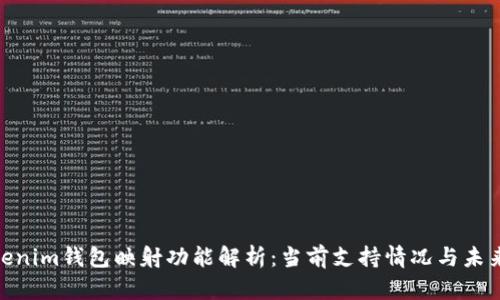 : Tokenim钱包映射功能解析:当前支持情况与未来趋势