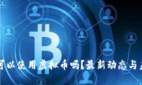 推特上可以使用虚拟币吗?最新动态与未来展望