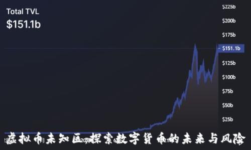 虚拟币未知区:探索数字货币的未来与风险