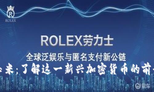 虚拟币玉米:了解这一新兴加密货币的前景与价值
