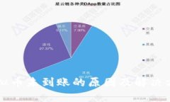 虚拟币未到账的原因及解决方案