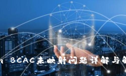 Tokenim BCAC未映射问题详解与解决方案