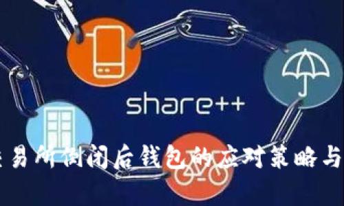 虚拟币交易所倒闭后钱包的应对策略与风险分析