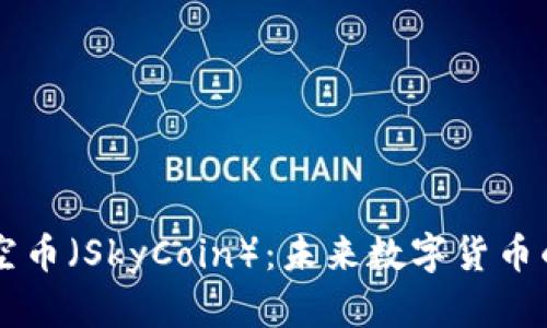 深入了解天空币(SkyCoin):未来数字货币的潜力与应用