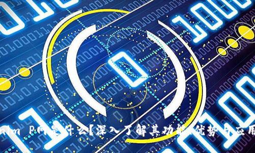 规划
Tokenim P网是什么?深入了解其功能、优势与应用场景