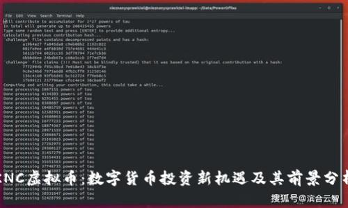 KNC虚拟币:数字货币投资新机遇及其前景分析