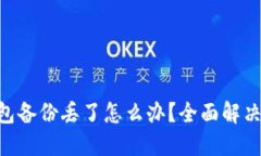 Tokenim钱包备份丢了怎么办？全面解决方案与建议