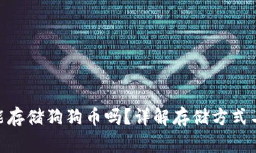 Tokenim能存储狗狗币吗？详解存储方式与使用指南