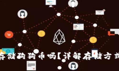 Tokenim能存储狗狗币吗？详解存储方式与使用指南