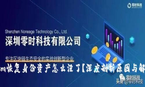 Tokenim恢复身份资产怎么没了？深度剖析原因与解决方案