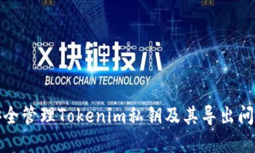 如何安全管理Tokenim私钥及其导出问题解答