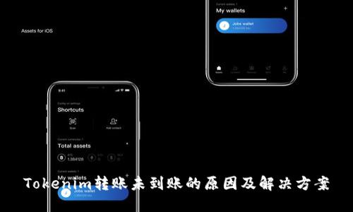 Tokenim转账未到账的原因及解决方案