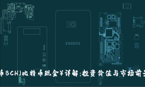 虚拟币BCH（比特币现金）详解：投资价值与市场前景分析
