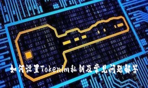 如何设置Tokenim私钥及常见问题解答