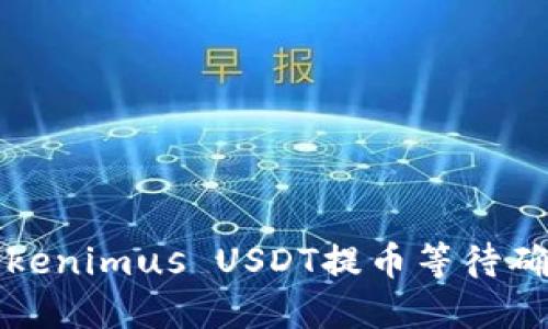 如何处理Tokenimus USDT提币等待确认中的问题